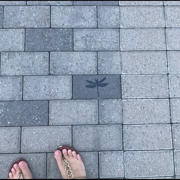 Meet your Posher, Kristen - Picture 3 of 5